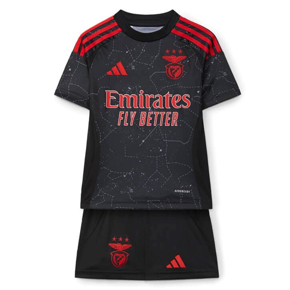 Camiseta Benfica Segunda equipo Niño 2024-25